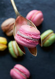 Macaroon | 300 piece (Copy)