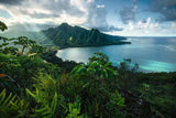 Hawaiian Viewpoint